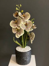 Cargar imagen en el visor de la galería, Arreglo Orquídea Wild Green - Marycielo Mendoza Design