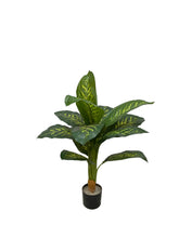 Cargar imagen en el visor de la galería, Planta Diefembaquia Artificial - Marycielo Mendoza Design