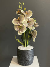 Cargar imagen en el visor de la galería, Arreglo Orquídea Wild Green - Marycielo Mendoza Design