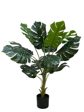 Cargar imagen en el visor de la galería, Planta Monstera - Marycielo Mendoza Design