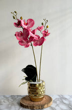 Cargar imagen en el visor de la galería, Arreglo Orquídea Wild Pink - Marycielo Mendoza Design