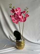 Cargar imagen en el visor de la galería, Arreglo Orquídea Wild Pink - Marycielo Mendoza Design