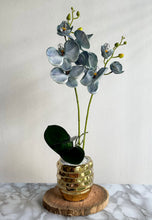 Cargar imagen en el visor de la galería, Arreglo Orquídea Wild Blue - Marycielo Mendoza Design