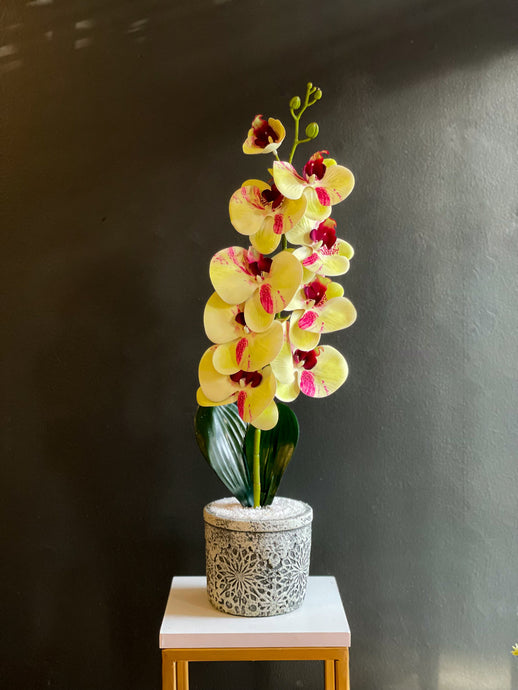 Arreglo Orquideas Glam - Marycielo Mendoza Design