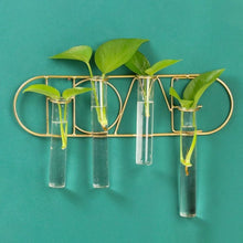 Cargar imagen en el visor de la galería, Florero Hidropónico Home - Marycielo Mendoza Design
